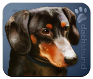 Dachshund_Dog Mouse Pad colors blue